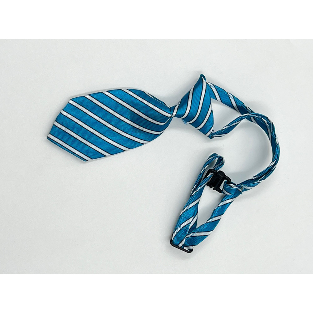 كرفته ربطة عنق للقطط