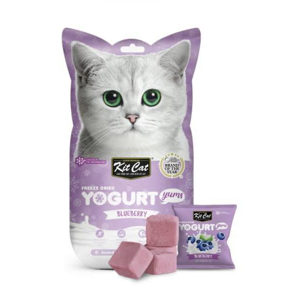 كت كات يوقارت بالتوت الازرق مكافاة للقطط 10جرام