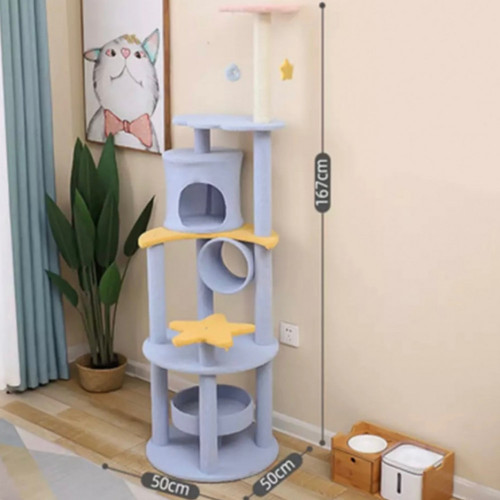 خداشة قطط تصميم جذاب باشكال متنوعة