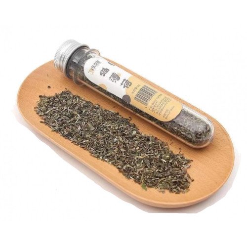 كاتنيب قنينة حشيشة القطط كاتنيب قنينة حشيشة القطط