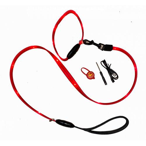 حبل تنزه مع طوق للكلاب باضائة LED حبل تنزه مع طوق للكلاب باضائة LED