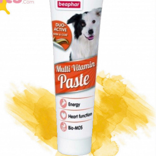 معجون فيتامين للكلاب لصحة الجلد والفرو 100غ