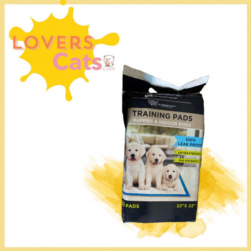 فرشة طبيه 30 حبة فرشة طبيه 30 حبة