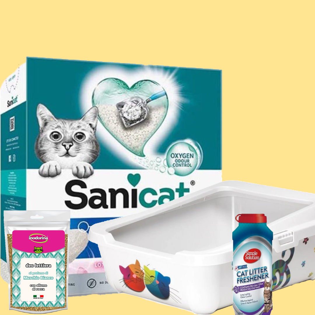 الرمل ومستلزماته