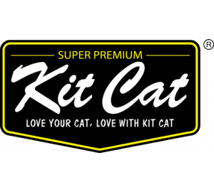 كيت كات