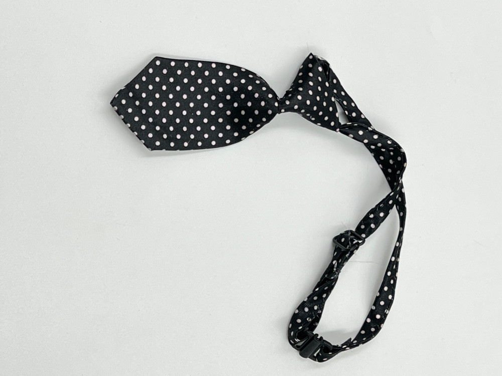 كرفته ربطة عنق للقطط