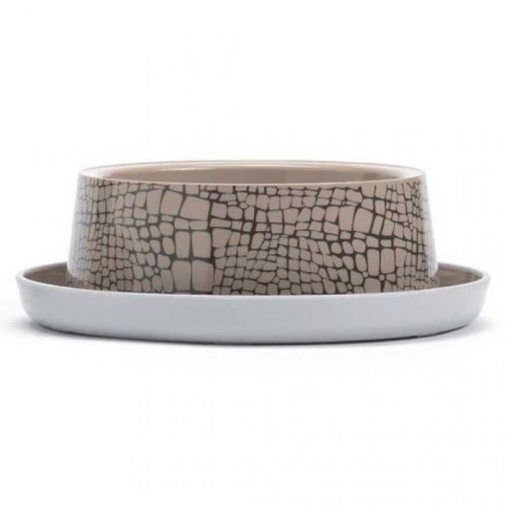 صحن طعام أنيق