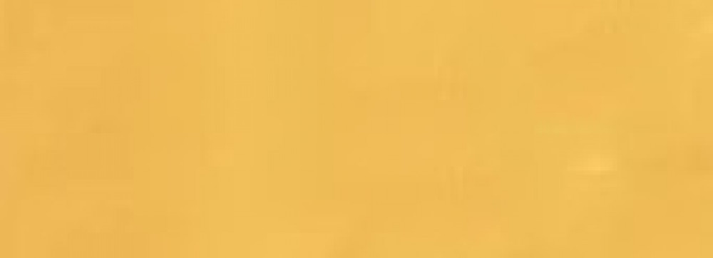 طوق حماية طبي للقطط والكلاب طوق حماية طبي للقطط والكلاب