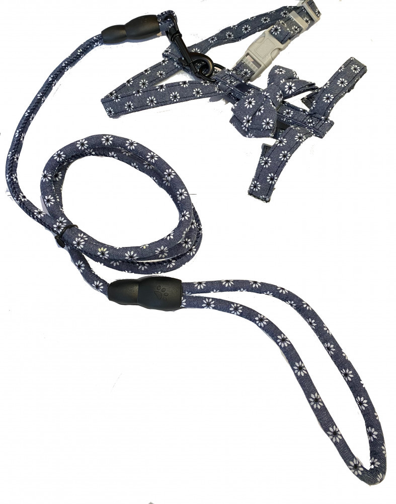 صدارية مع ليش