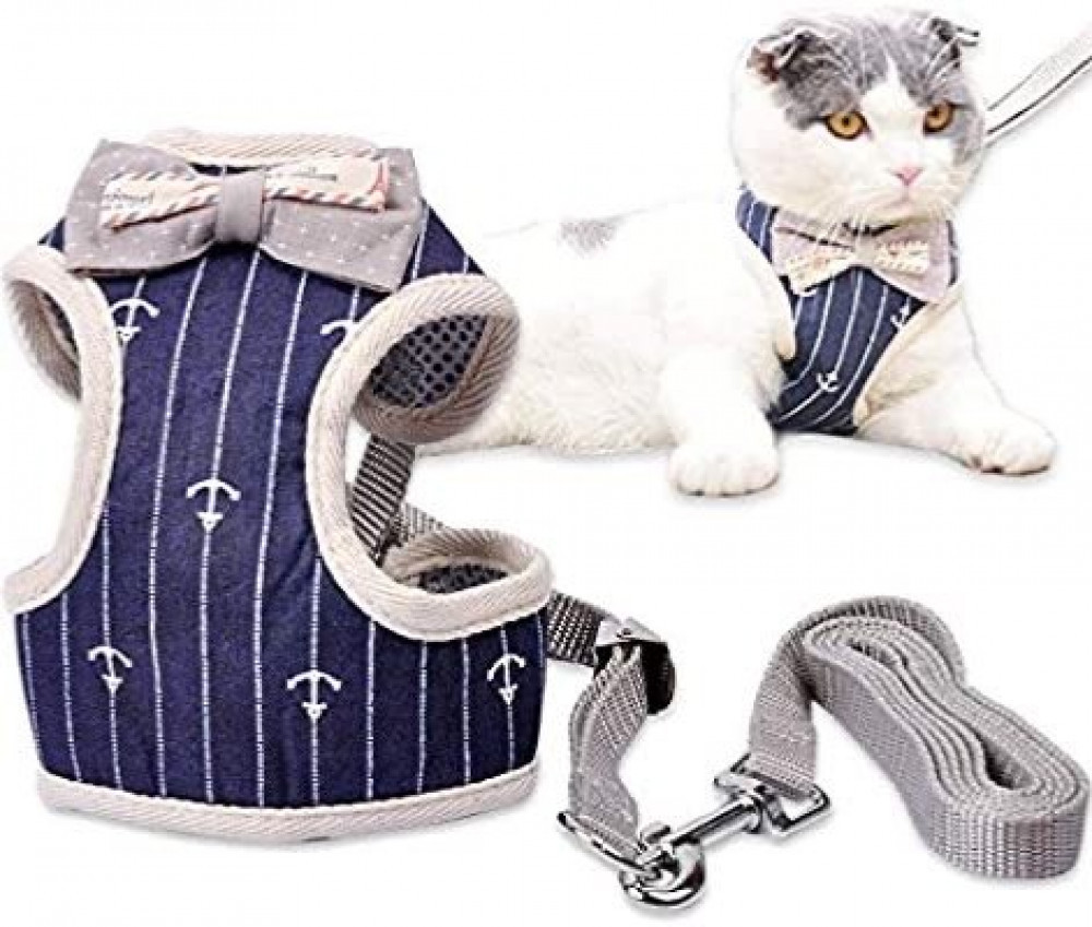 حبل تنزه مع صدارية انيقة للقطط حجم صغير 