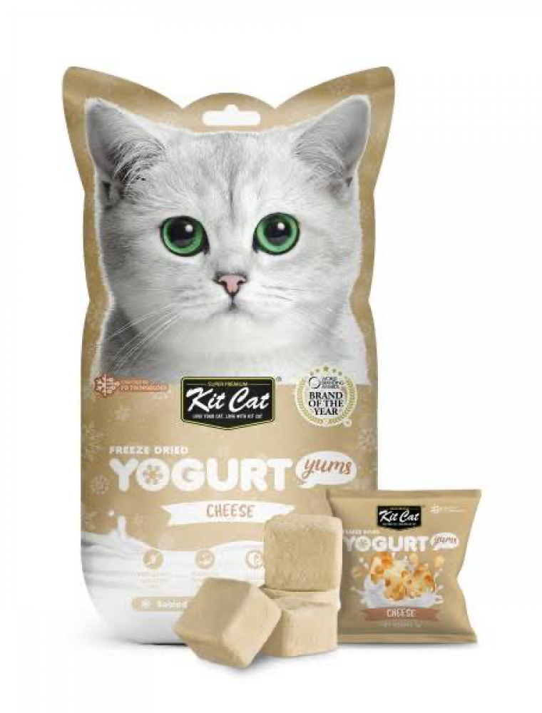 كت كات يوقارت بالجبنه مكافاة للقطط 10جرام