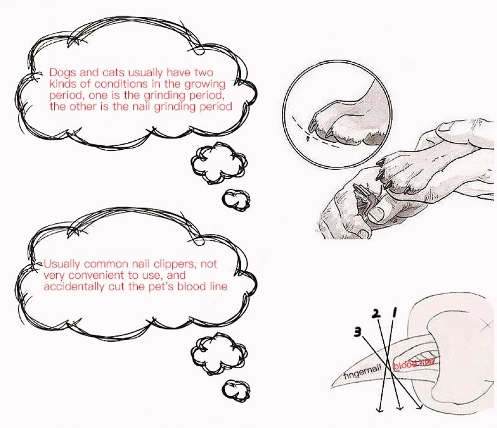 مقص اظافر مع مبرد