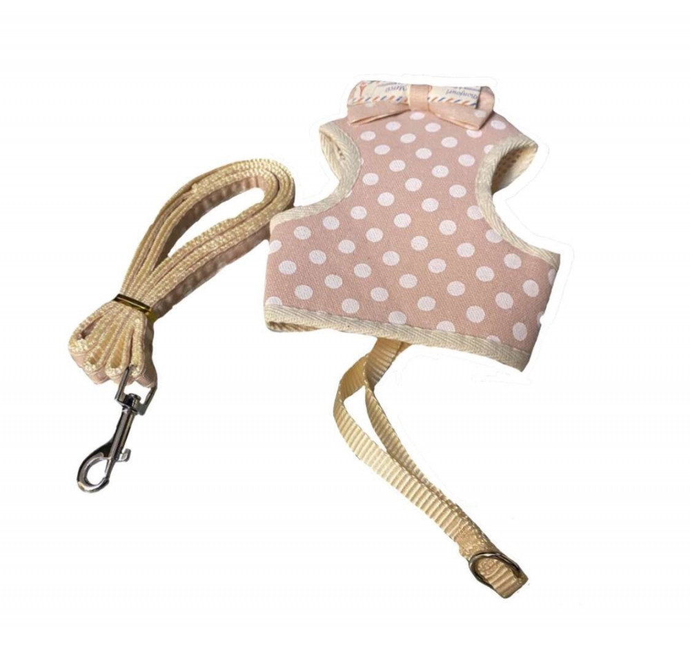 حبل تنزه مع صدارية انيقة للقطط حجم صغير 