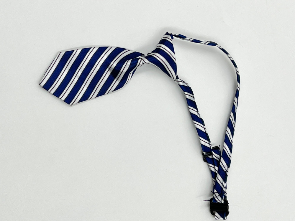 كرفته ربطة عنق للقطط