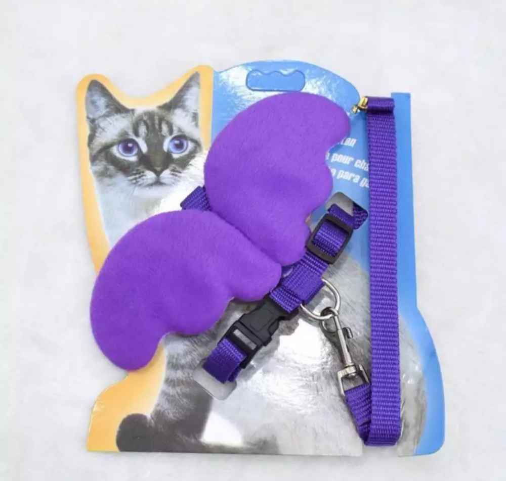 صدارية الأجنحة مع ليش