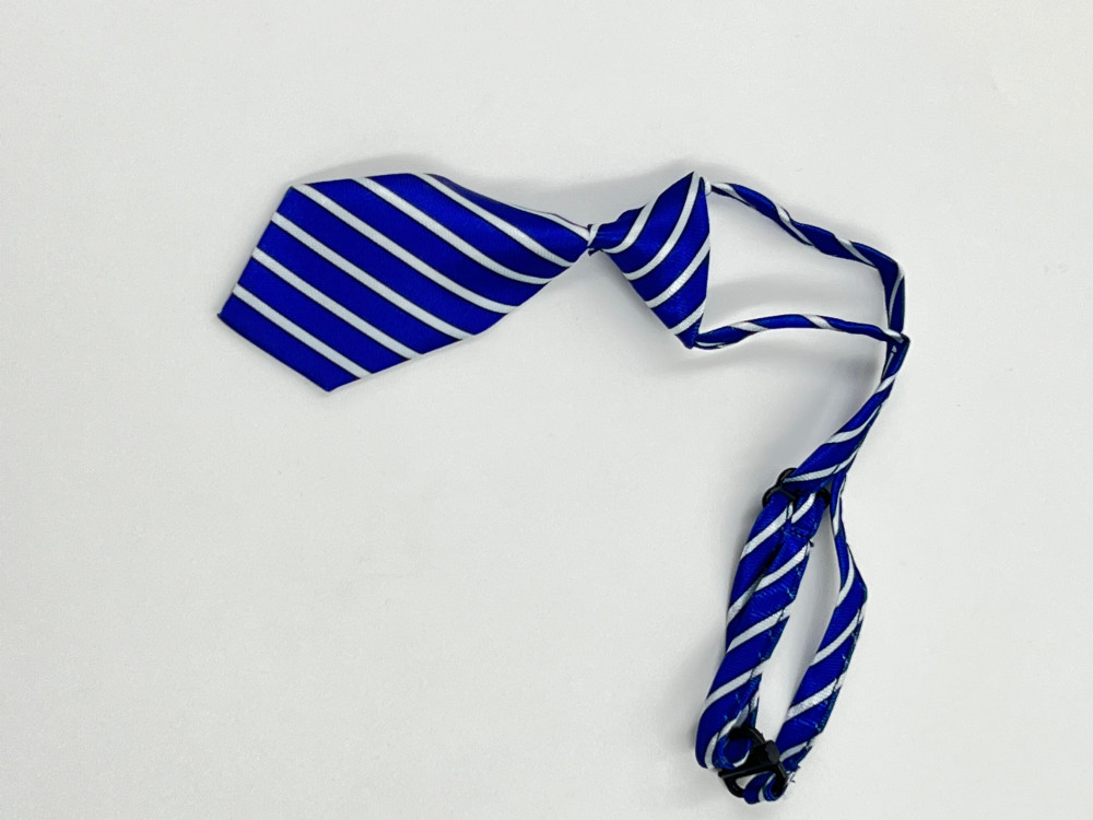 كرفته ربطة عنق للقطط