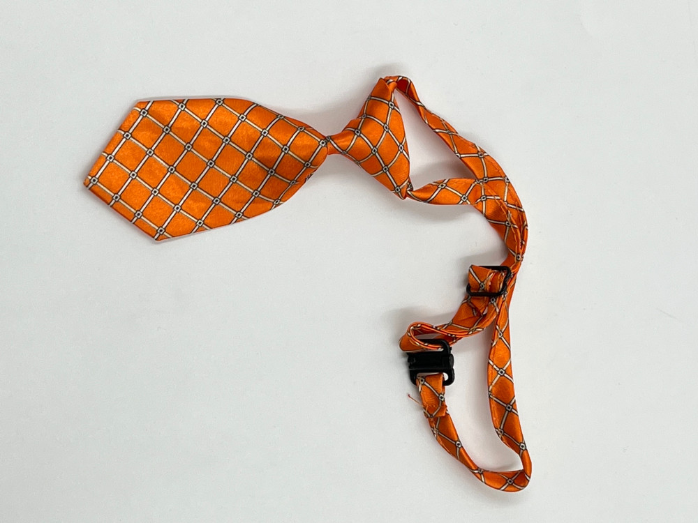 كرفته ربطة عنق للقطط