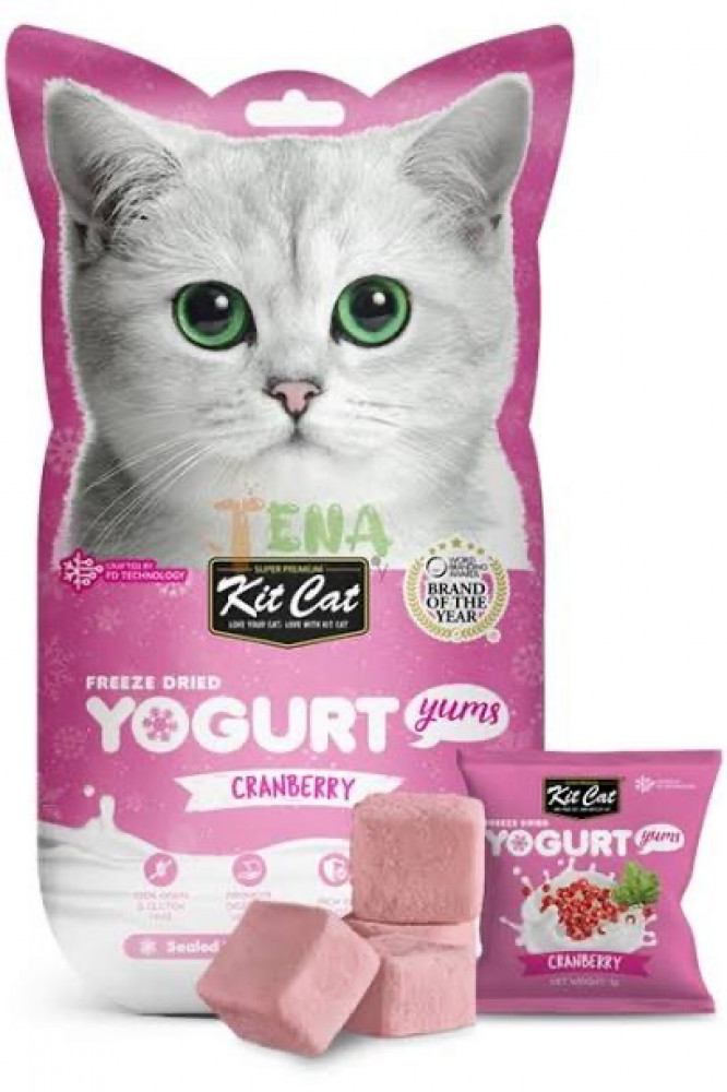 كت كات يوقارت توت بري مكافاة للقطط 10جرام