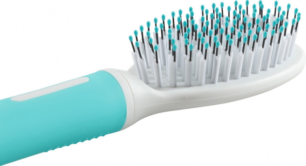 فرشاة بيضاوية بحجم صغير جدا لتمشيط شعر الكلاب فرشاة بيضاوية بحجم صغير جدا لتمشيط شعر الكلاب