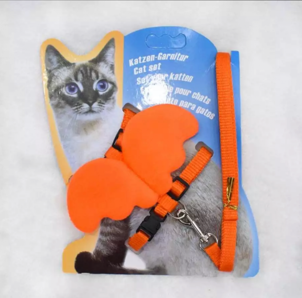 صدارية الأجنحة مع ليش