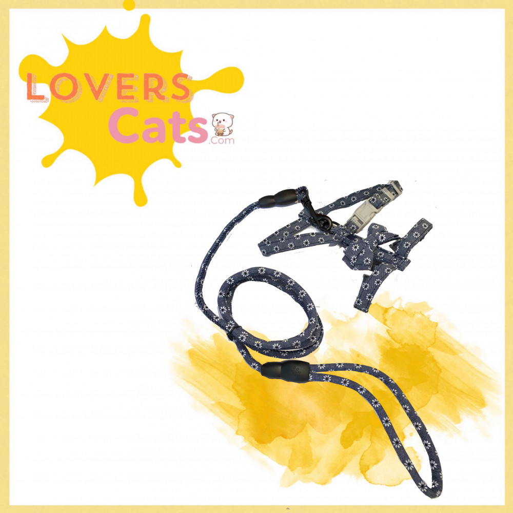 صدارية مع ليش