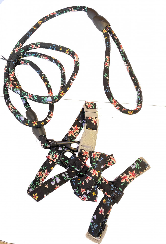 صدارية مع ليش