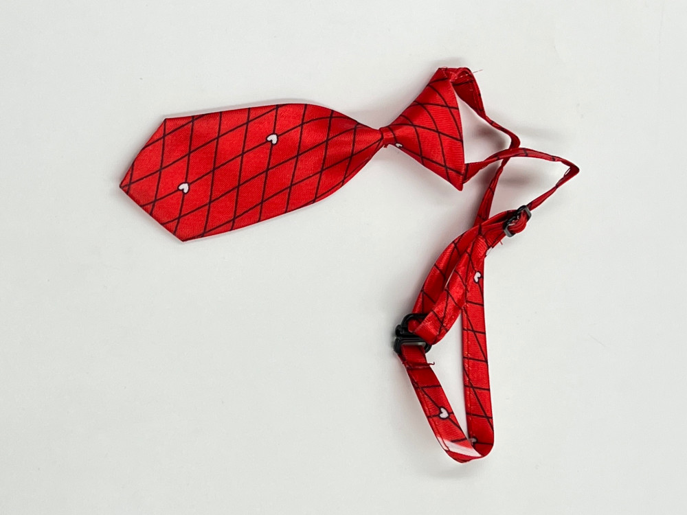 كرفته ربطة عنق للقطط