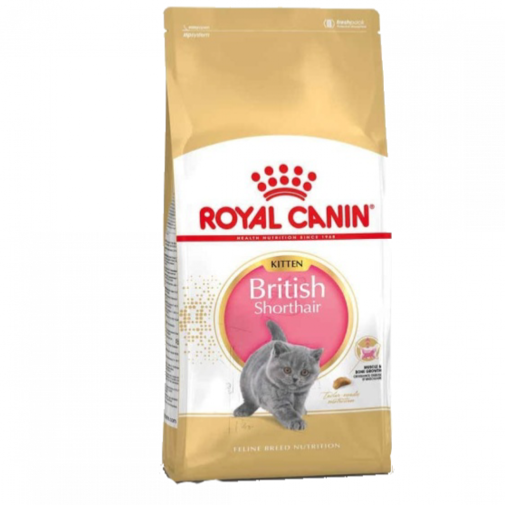 طعام قطط جاف بريتش كتن للقطط الصغيرة 2كيلو طعام قطط جاف بريتش كتن للقطط الصغيرة 2كيلو