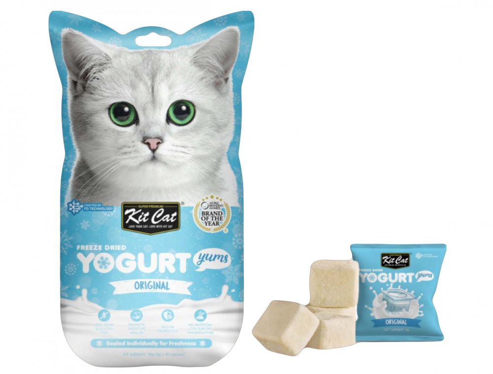 كت كات يوقارت اورجنال مكافاة للقطط 10 جرام