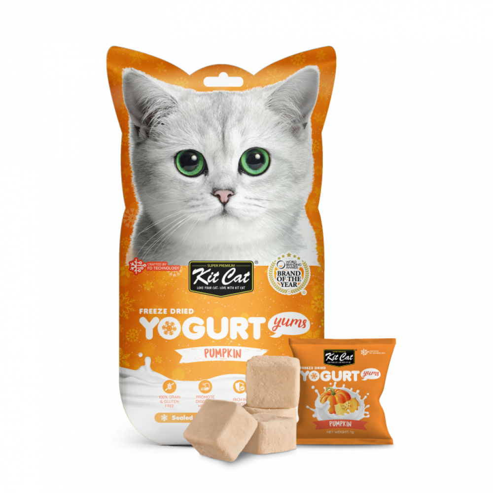 كت كات يوقارت باليقطين مكافاة للقطط 10جرام كت كات يوقارت باليقطين مكافاة للقطط 10جرام