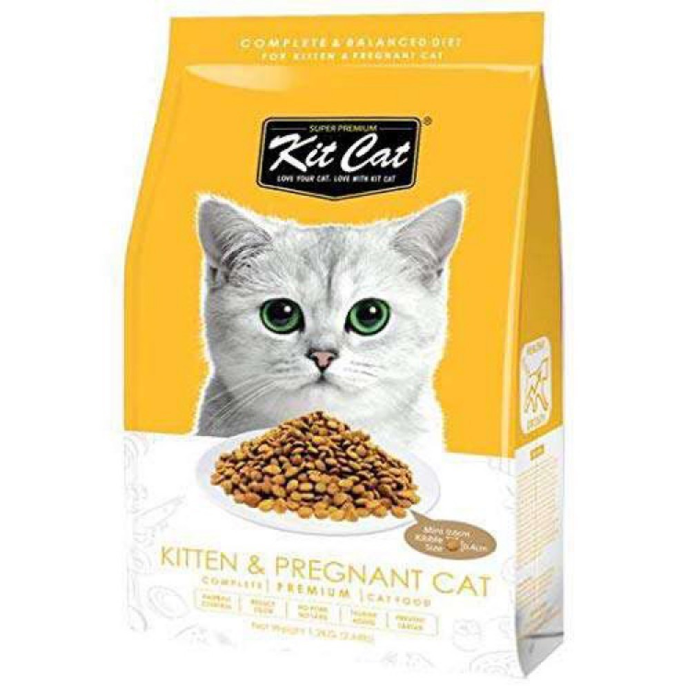 كت كات طعام جاف للقطط الصغيرة والحوامل 1.2كيلو