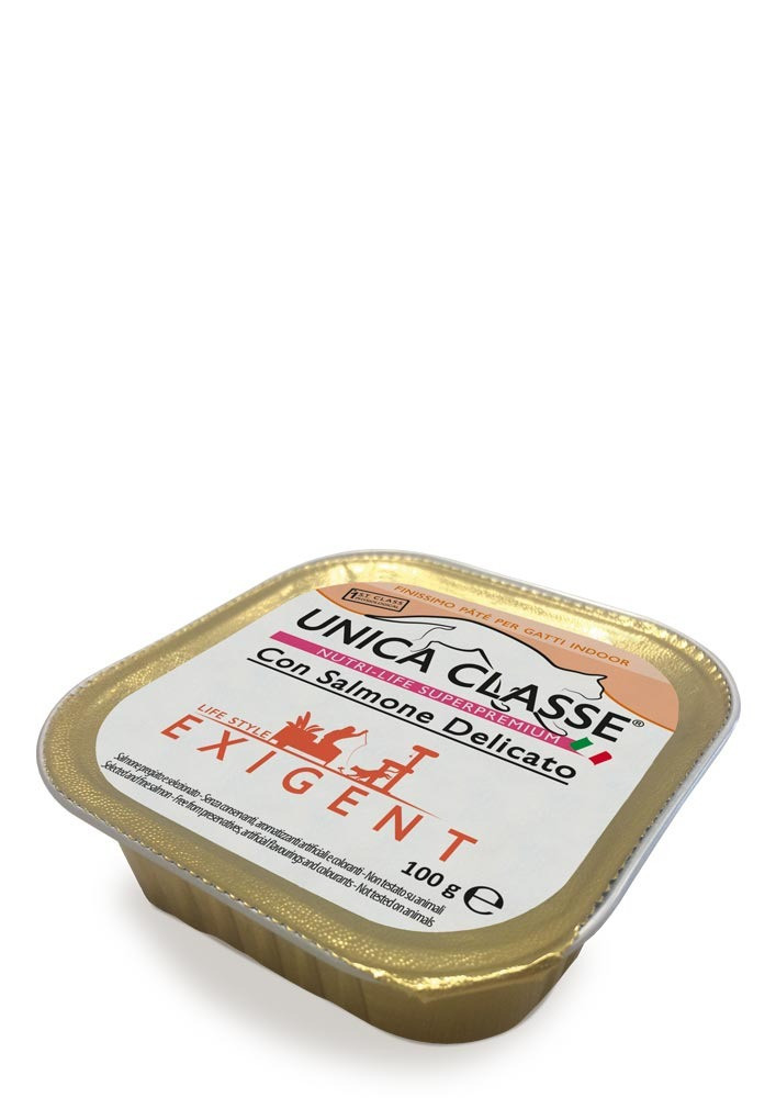 معلبات باتيه السالمون 100g