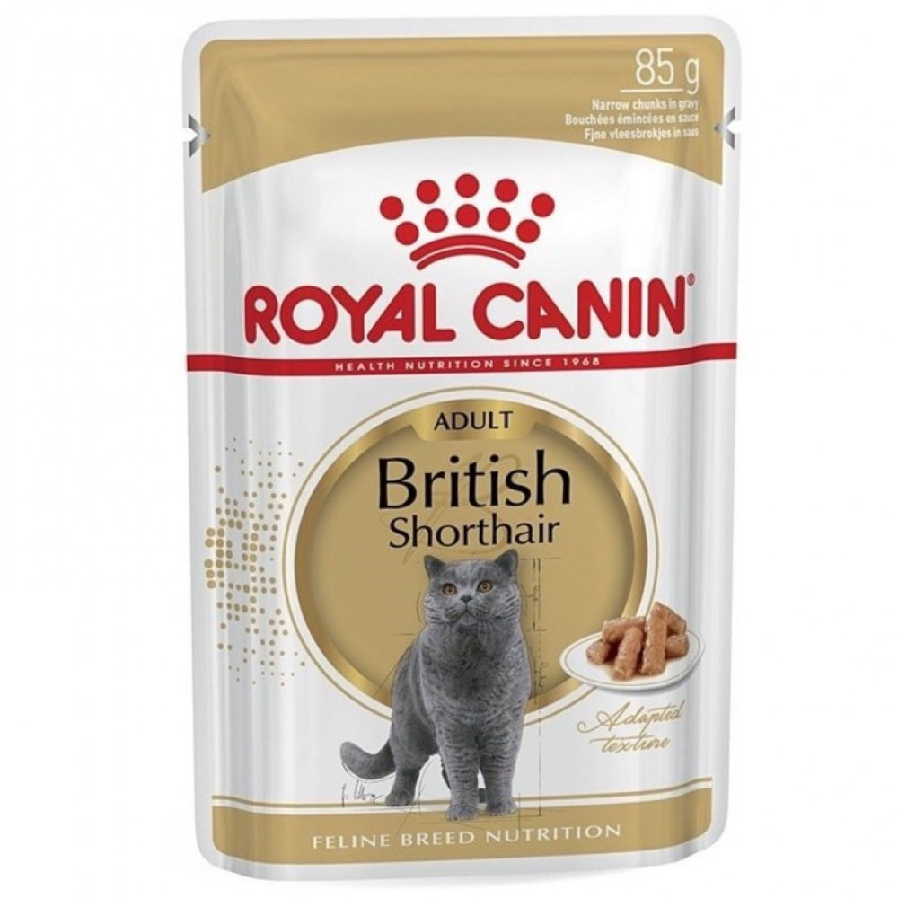 رويال طعام قطط رطب بريتش 85غ