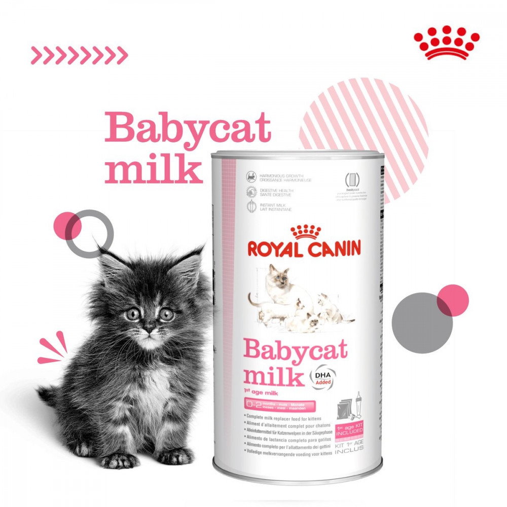 3 اظرف حليب بودرة مع رضاعة 300غ