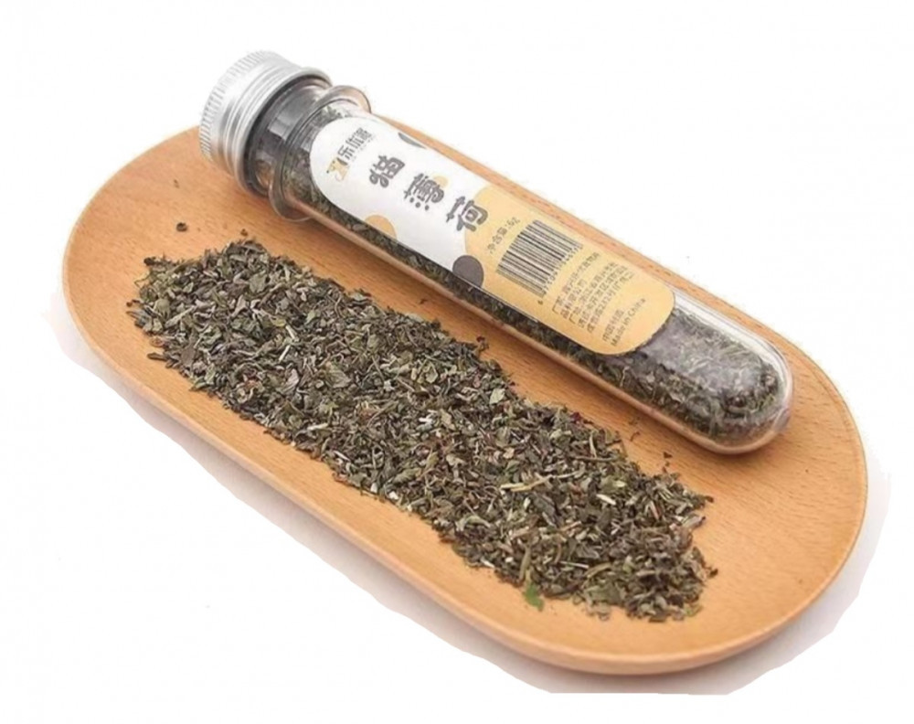 كاتنيب قنينة حشيشة القطط