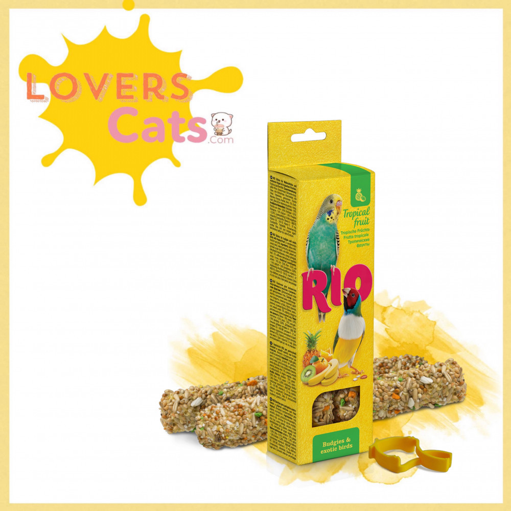 ستيك بادجي والطيور الصغيره مع الفواكه