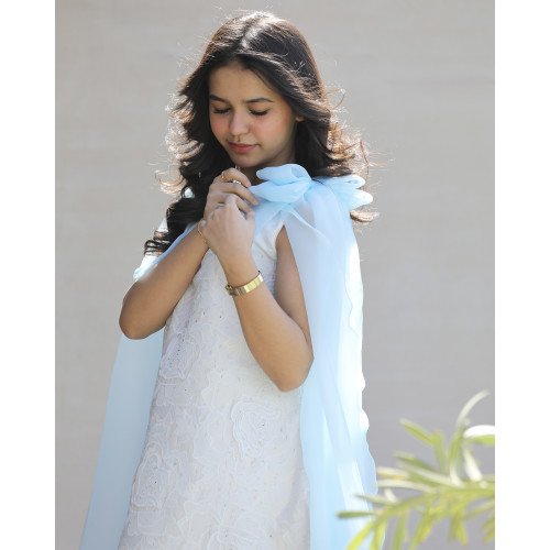 فستان بناتي مطرز ورود كبيرة وفيونكات فراشة سماويه | تصميم ملكي - 1201 فستان بناتي مطرز ورود كبيرة وفيونكات فراشة سماويه | تصميم ملكي - 1201