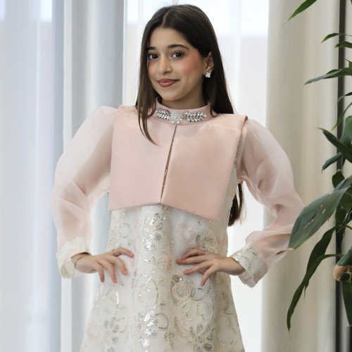 فستان بناتي لحمي مطرز فضي بأكمام شفافة واكسسوار رقبة - 1204 فستان بناتي لحمي مطرز فضي بأكمام شفافة واكسسوار رقبة - 1204