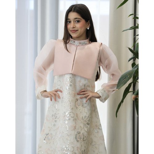 فستان بناتي لحمي مطرز فضي بأكمام شفافة واكسسوار رقبة - 1204 فستان بناتي لحمي مطرز فضي بأكمام شفافة واكسسوار رقبة - 1204