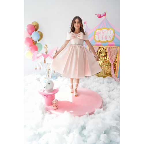 فستان الأميرات الملكي بأكتاف مكشوفه - 1012 فستان الأميرات الملكي بأكتاف مكشوفه - 1012