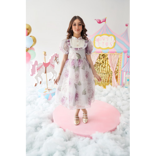 فستان الأميرات أورجانزا مورد قطعة من سحر الخيال - 1020 فستان الأميرات أورجانزا مورد قطعة من سحر الخيال - 1020