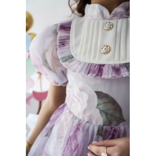 فستان الأميرات أورجانزا مورد قطعة من سحر الخيال - 1020 فستان الأميرات أورجانزا مورد قطعة من سحر الخيال - 1020