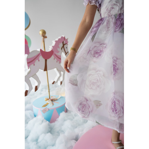 فستان الأميرات أورجانزا مورد قطعة من سحر الخيال - 1020 فستان الأميرات أورجانزا مورد قطعة من سحر الخيال - 1020