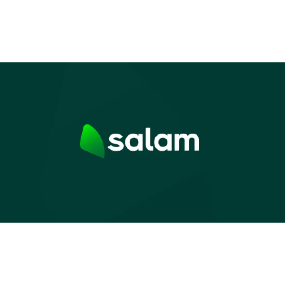 بطاقة شحن سلام 17.39 ريال (رصيد صافي) - تقسيط تابي فوري