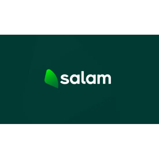بطاقة شحن سلام 17.39 ريال (رصيد صافي) - تقسيط تابي فوري بطاقة شحن سلام 17.39 ريال (رصيد صافي) - تقسيط تابي فوري