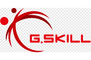 G.Skill