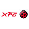 XPG