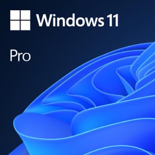 Microsoft Win 11 Pro 64Bit Eng Intl 1pk DSP OEI DVD 