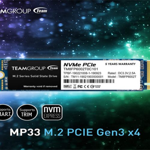 TEAMGROUP MP33 256GB 3D NAND NVMe PCIe M.2 SSD TEAMGROUP MP33 256GB 3D NAND NVMe PCIe M.2 SSD