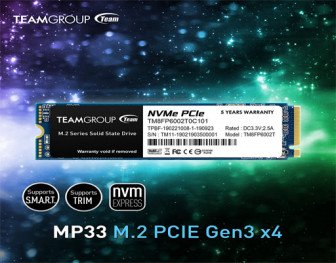 TEAMGROUP MP33 256GB 3D NAND NVMe PCIe M.2 SSD TEAMGROUP MP33 256GB 3D NAND NVMe PCIe M.2 SSD